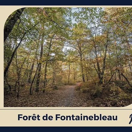 L'ecrin Bellifontain - Confort - Centre * フォンテーヌブロー